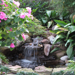A waterfall leading to a pond, surrounded by greenery and pink flowers.