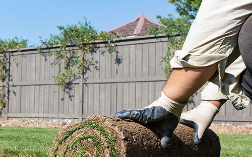 Close up of a man unrolling grass during a Tyler Texas landscape job.