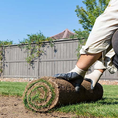 Close up of a man unrolling grass during a Tyler Texas landscape job.