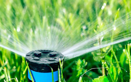A close up of a sprinkler spraying water on a bright green lawn.