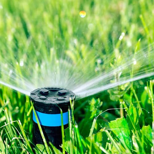 A close up of a sprinkler spraying water on a bright green lawn.