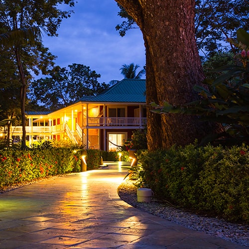 A walkway and landscaping featuring a large tree, lit up by soft glowing light at dusk in East Texas.