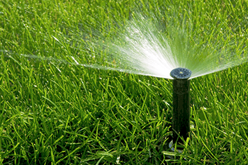 Close up of a sprinkler spraying water on a green lawn in East Texas.