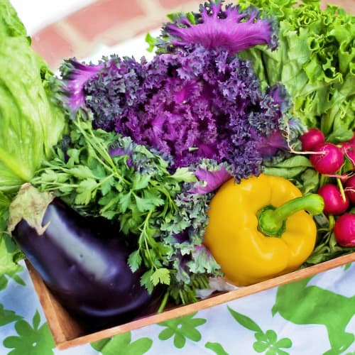 A close up of eggplants, bell pepper, raddishes, and various lettuce harvested from an edible landscape in Tyler.