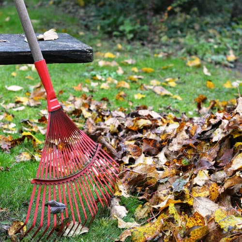 fall-yardwork A rake gathering up yellow and orange leaves before a fall landscaping project.